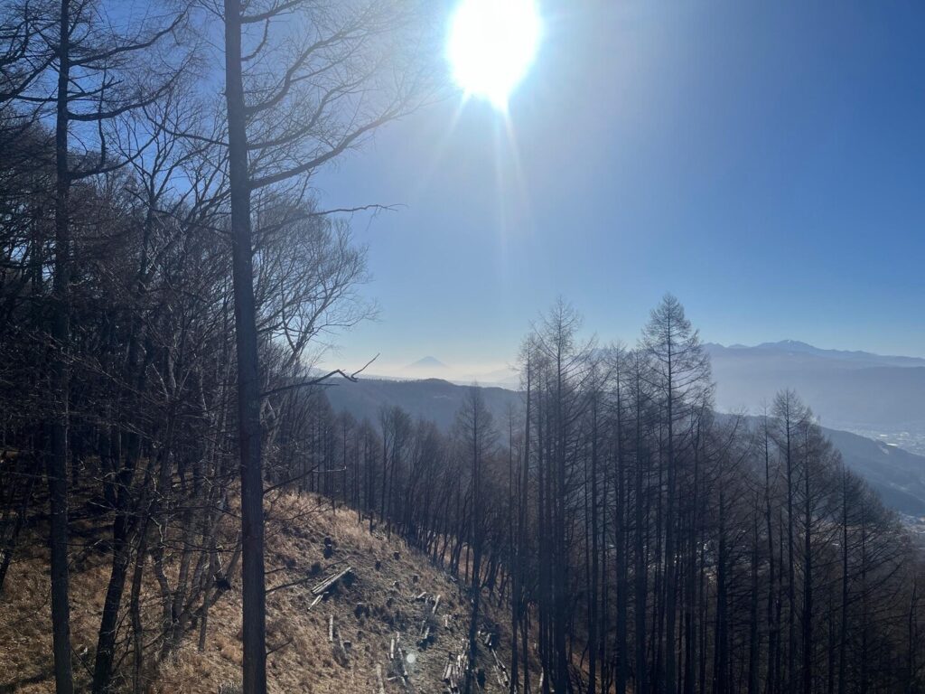 大見山　
蓼の海