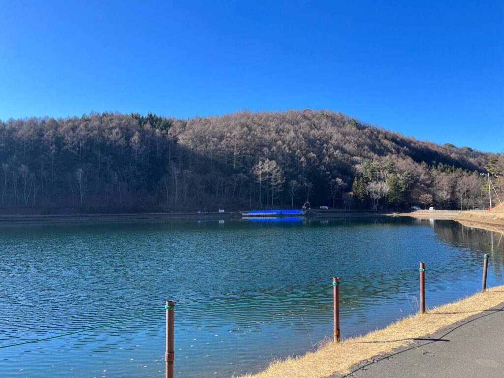 大見山　
蓼の海