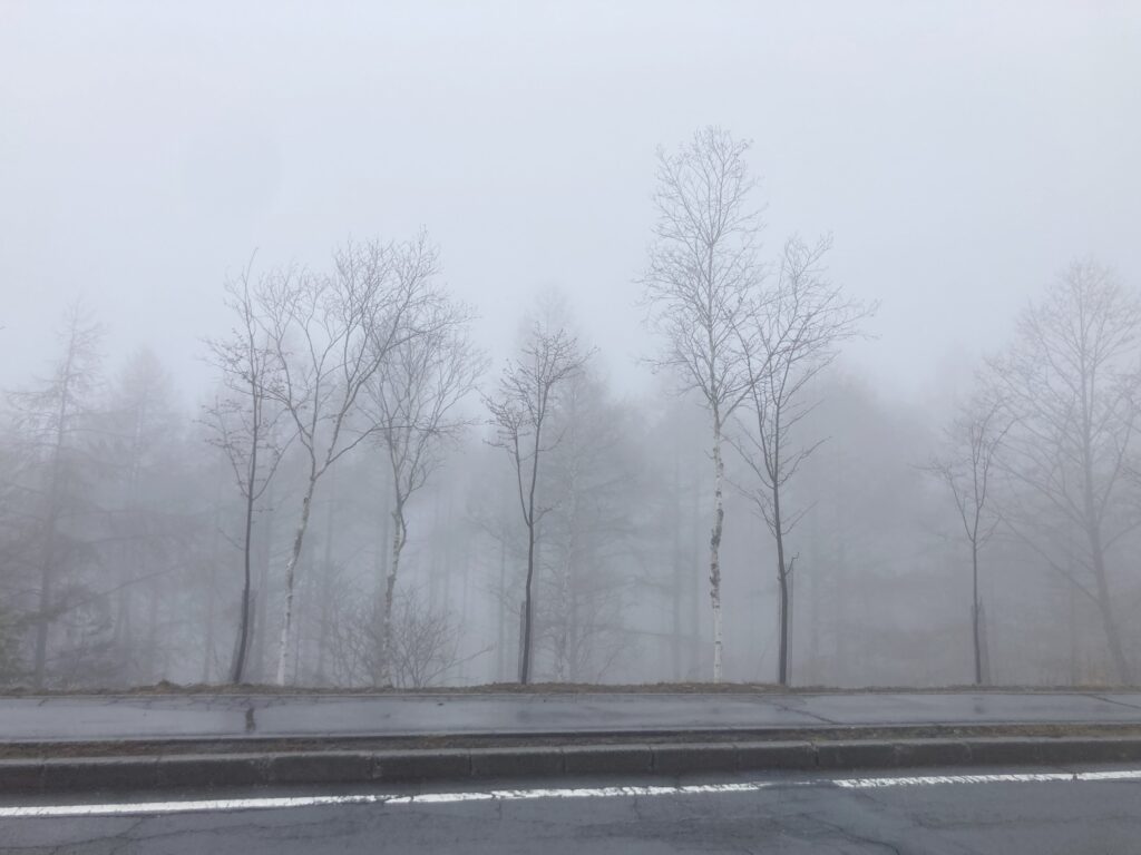 信州諏訪霧ヶ峰高原別荘地　霧ヶ峰　ビバルデの丘　長野県諏訪市　ビーナスライン　別荘　山　森　森林　自然　富士山　眺望　植物　山野草　草花　アウトドア