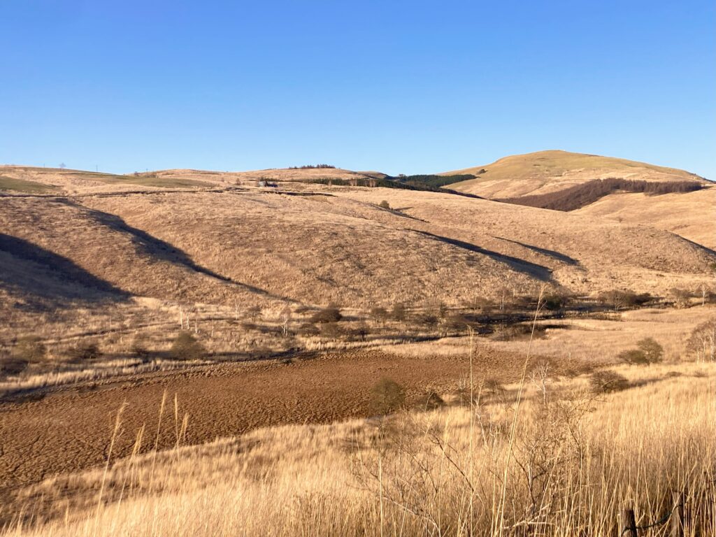 信州諏訪霧ヶ峰高原別荘地　霧ヶ峰　ビバルデの丘　長野県諏訪市　ビーナスライン　別荘　山　森　森林　自然　植物　山野草　草花　アウトドア　踊場湿原　池のくるみ　天然記念物