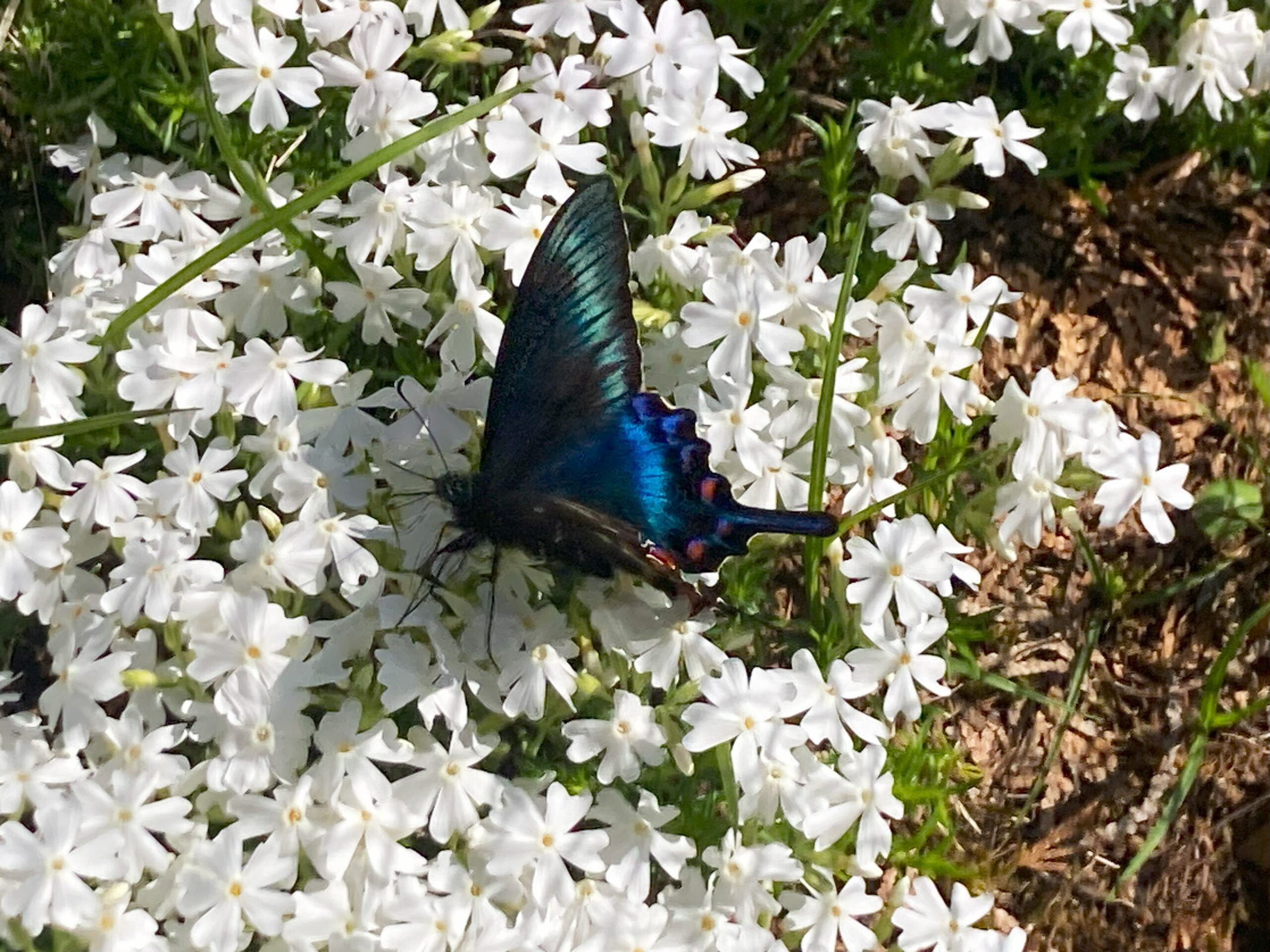 c480bcd5b6cbd5ed825c5eeda1767e