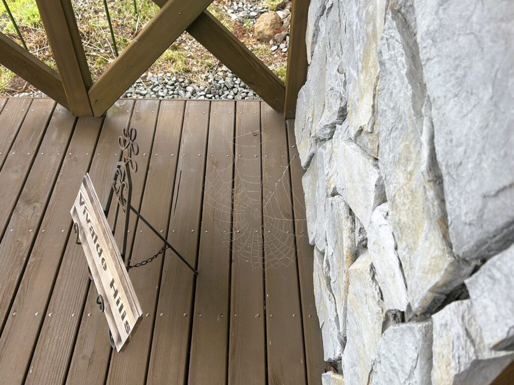 信州諏訪霧ヶ峰高原別荘地 霧ヶ峰 ビバルデの丘 長野県諏訪市 ビーナスライン 別荘 山 森 森林 自然 富士山 八ヶ岳 南アルプス 中央アルプス 眺望 植物 山野草 草花 山の花 アウトドア 蜘蛛の巣 芸術 虫 霧