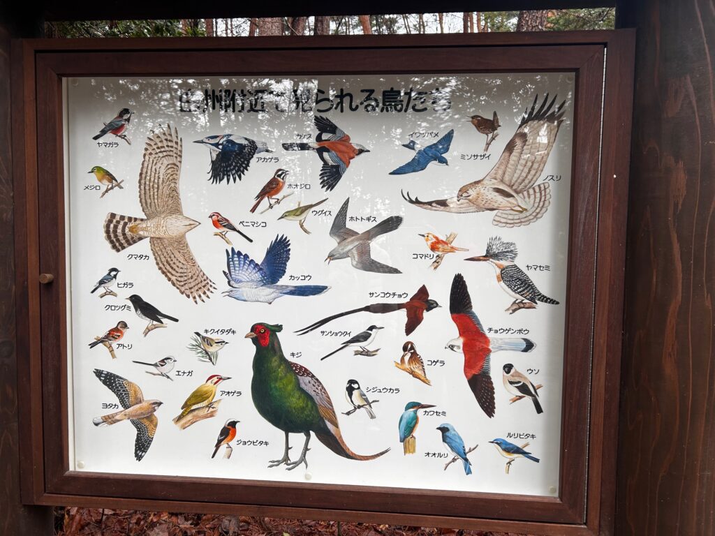天然水工場見学
白州
サントリー