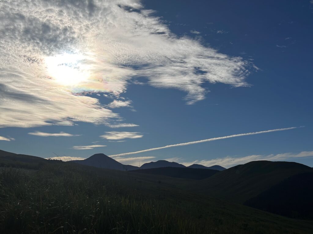 霧ヶ峰 夏
