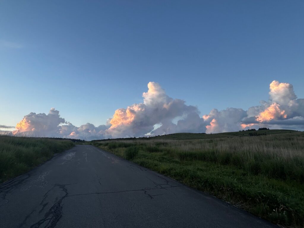 霧ヶ峰 夏