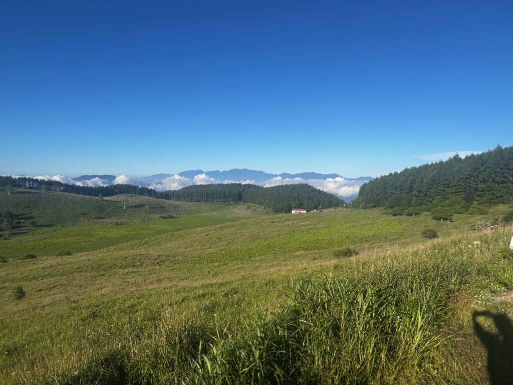 霧ヶ峰 夏