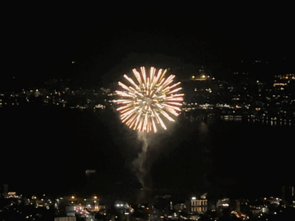信州諏訪霧ヶ峰高原別荘地　霧ヶ峰　ビバルデの丘　長野県諏訪市　ビーナスライン　別荘　山　森　森林　自然　富士山　八ヶ岳　南アルプス　中央アルプス　眺望　植物　山野草　草花　山の花　高原の花　アウトドア　夏　夏休み　ニッコウキスゲ　コウリンカ　キク科　ユウスゲ　花火　夜