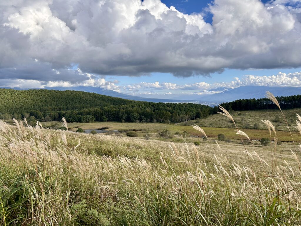 信州諏訪霧ヶ峰高原別荘地 霧ヶ峰 ビバルデの丘 長野県諏訪市 ビーナスライン 別荘 山 森 森林 自然 富士山 八ヶ岳 南アルプス 中央アルプス 眺望 植物 山野草 草花 山の花 アウトドア 夏 タチフウロ ツリフネソウ ススキ 秋の七草