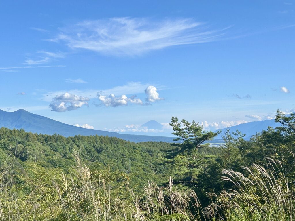 信州諏訪霧ヶ峰高原別荘地　霧ヶ峰　ビバルデの丘　長野県諏訪市　ビーナスライン　別荘　山　森　森林　自然　富士山　八ヶ岳　南アルプス　中央アルプス　眺望　植物　山野草　草花　山の花　アウトドア　夏　秋　ススキ　芒　秋の七草