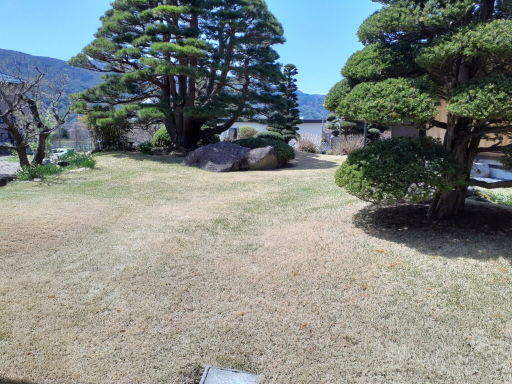 高麗芝管理
ビバルデの丘