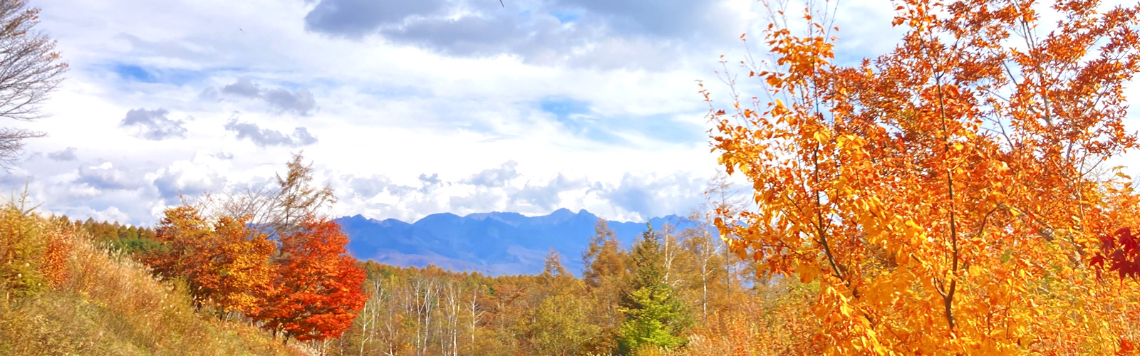 八ヶ岳・富士山の見える別荘地「ビバルデの丘」