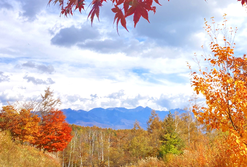 八ヶ岳・富士山の見える別荘地「ビバルデの丘」