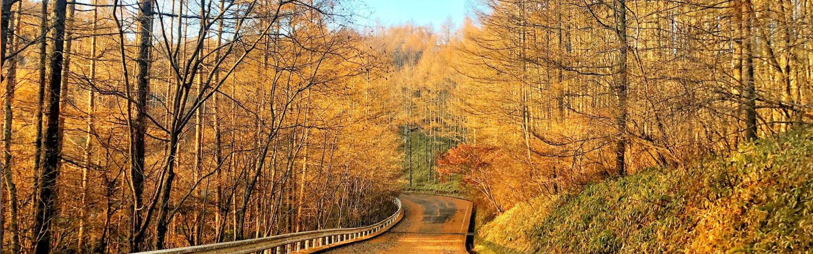 八ヶ岳・富士山の見える別荘地「ビバルデの丘」