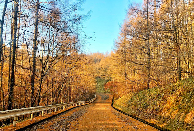 八ヶ岳・富士山の見える別荘地「ビバルデの丘」