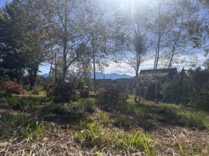 I-18号地（秋の丘）