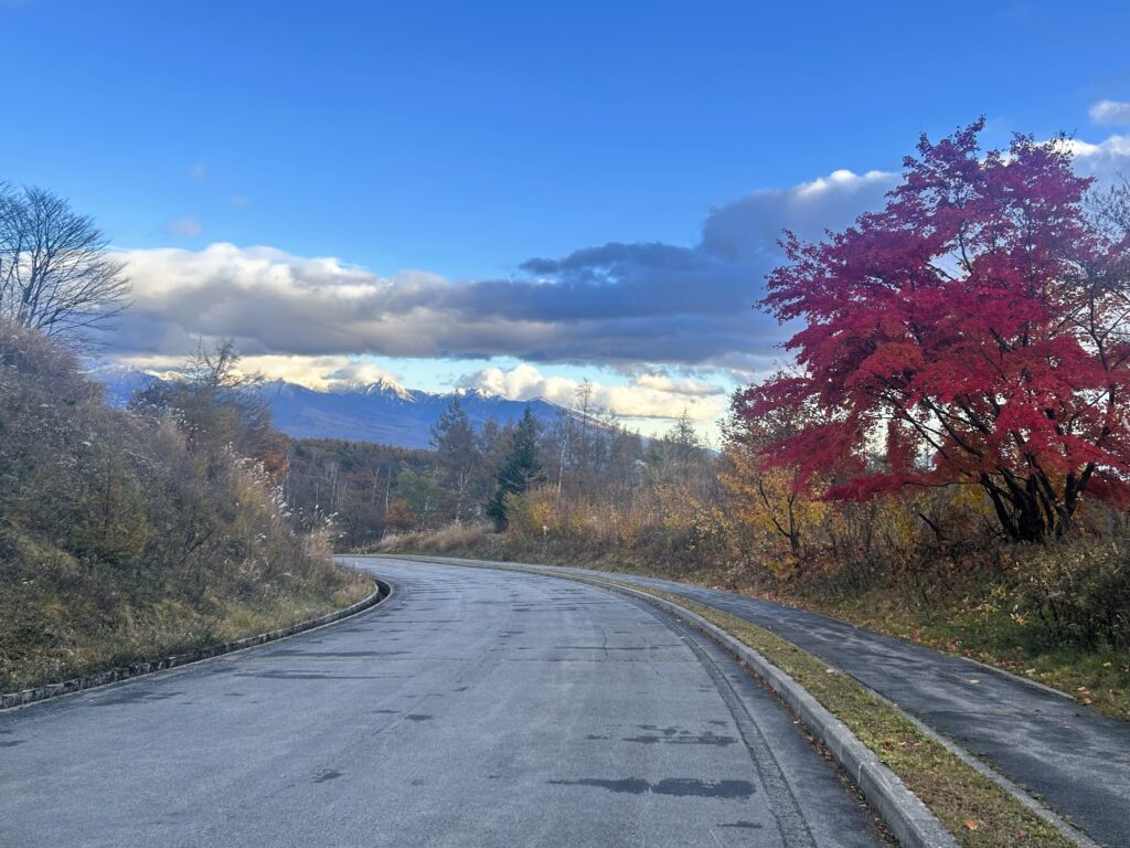 信州諏訪霧ヶ峰高原別荘地　霧ヶ峰　ビバルデの丘　長野県諏訪市　ビーナスライン　別荘　山　森　森林　自然　富士山　八ヶ岳　南アルプス　中央アルプス　眺望　植物　山野草　草花　紅葉　モミジ　カラマツ　落葉松　イルミネーション　スノーマン　雪だるま　秋　冬　雪　１１月