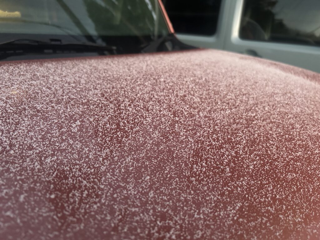信州諏訪霧ヶ峰高原別荘地　霧ヶ峰　ビバルデの丘　長野県諏訪市　ビーナスライン　別荘　山　森　森林　自然　富士山　八ヶ岳　南アルプス　中央アルプス　眺望　植物　山野草　草花　紅葉　モミジ　カラマツ　落葉松　イルミネーション　スノーマン　雪だるま　秋　冬　雪　１１月