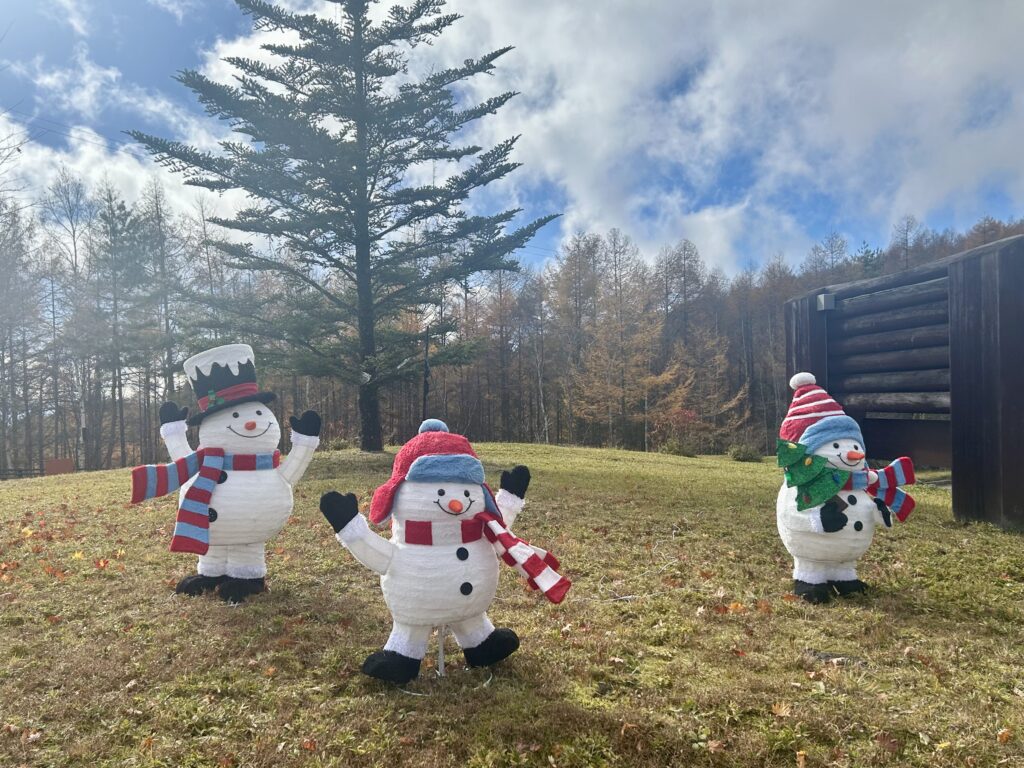 信州諏訪霧ヶ峰高原別荘地　霧ヶ峰　ビバルデの丘　長野県諏訪市　ビーナスライン　別荘　山　森　森林　自然　富士山　八ヶ岳　南アルプス　中央アルプス　眺望　植物　山野草　草花　紅葉　モミジ　カラマツ　落葉松　イルミネーション　スノーマン　雪だるま　秋　冬　雪　１１月