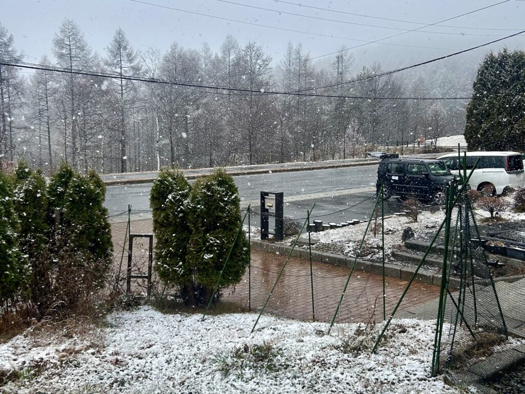 信州諏訪霧ヶ峰高原別荘地 霧ヶ峰 ビバルデの丘 長野県諏訪市 ビーナスライン 別荘 山 森 森林 自然 富士山 八ヶ岳 南アルプス 中央アルプス 眺望 植物 山野草 草花 紅葉 モミジ カラマツ 落葉松 イルミネーション スノーマン 雪だるま 秋 冬 雪
