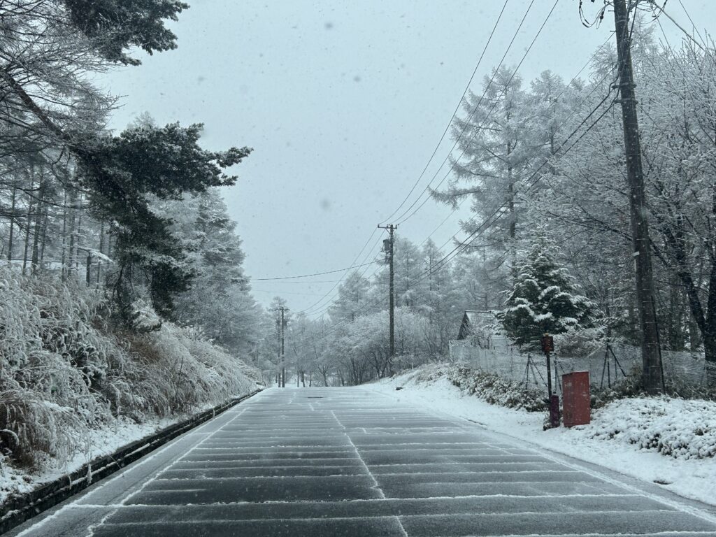 信州諏訪霧ヶ峰高原別荘地 霧ヶ峰 ビバルデの丘 長野県諏訪市 ビーナスライン 別荘 山 森 森林 自然 富士山 八ヶ岳 南アルプス 中央アルプス 眺望 植物 山野草 草花 紅葉 モミジ カラマツ 落葉松 イルミネーション スノーマン 雪だるま 秋 冬 雪