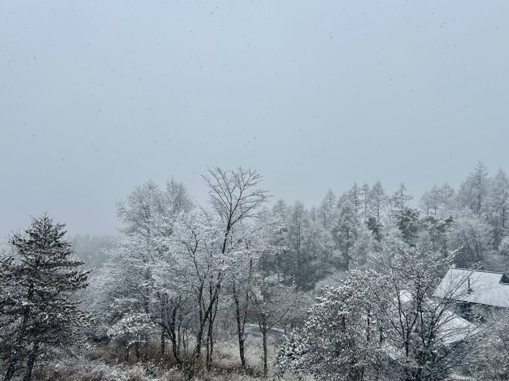 信州諏訪霧ヶ峰高原別荘地 霧ヶ峰 ビバルデの丘 長野県諏訪市 ビーナスライン 別荘 山 森 森林 自然 富士山 八ヶ岳 南アルプス 中央アルプス 眺望 植物 山野草 草花 紅葉 モミジ カラマツ 落葉松 イルミネーション スノーマン 雪だるま 秋 冬 雪 積雪
