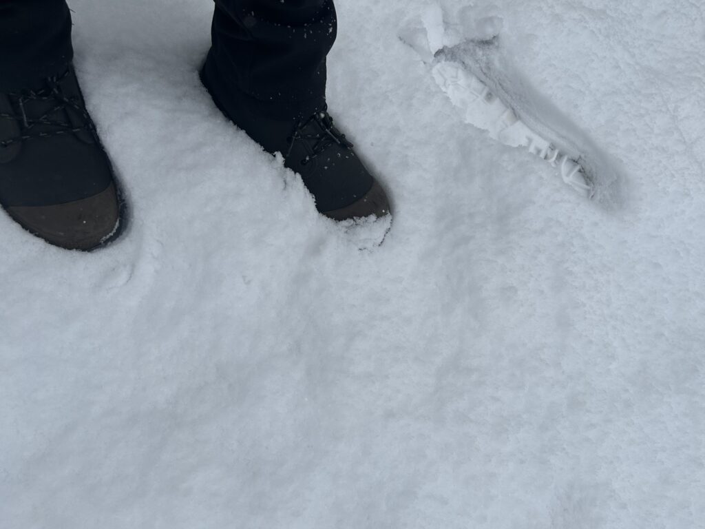 信州諏訪霧ヶ峰高原別荘地 霧ヶ峰 ビバルデの丘 長野県諏訪市 ビーナスライン 別荘 山 森 森林 自然 富士山 八ヶ岳 南アルプス 中央アルプス 眺望 植物 山野草 草花 紅葉 モミジ カラマツ 落葉松 イルミネーション スノーマン 雪だるま 秋 冬 雪