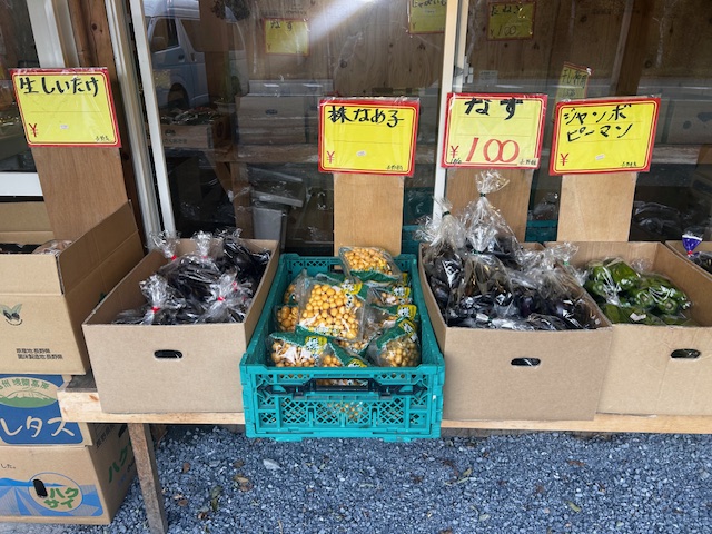 山の上の八百屋さん
ビーナスライン
白樺湖
池の平ホテル
八百屋