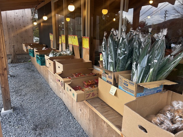 山の上の八百屋さん
ビーナスライン
白樺湖
池の平ホテル
八百屋