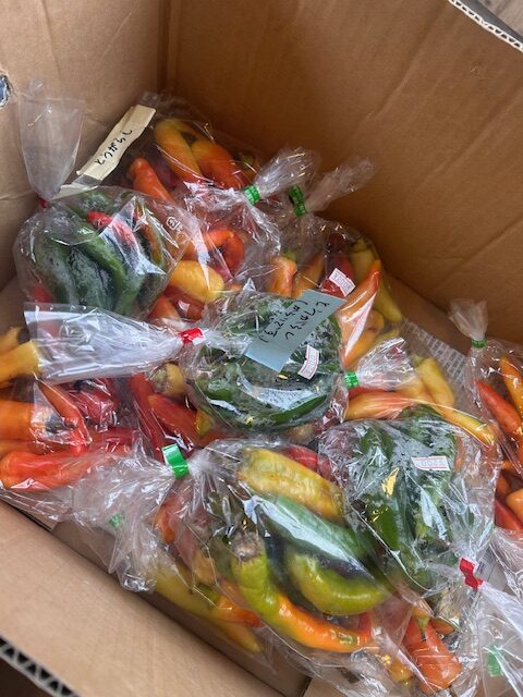 山の上の八百屋さん
ビーナスライン
白樺湖
池の平ホテル
八百屋