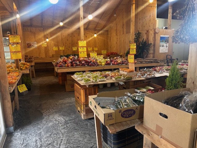 山の上の八百屋さん
ビーナスライン
白樺湖
池の平ホテル
八百屋