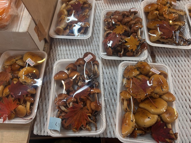 山の上の八百屋さん
ビーナスライン
白樺湖
池の平ホテル
八百屋