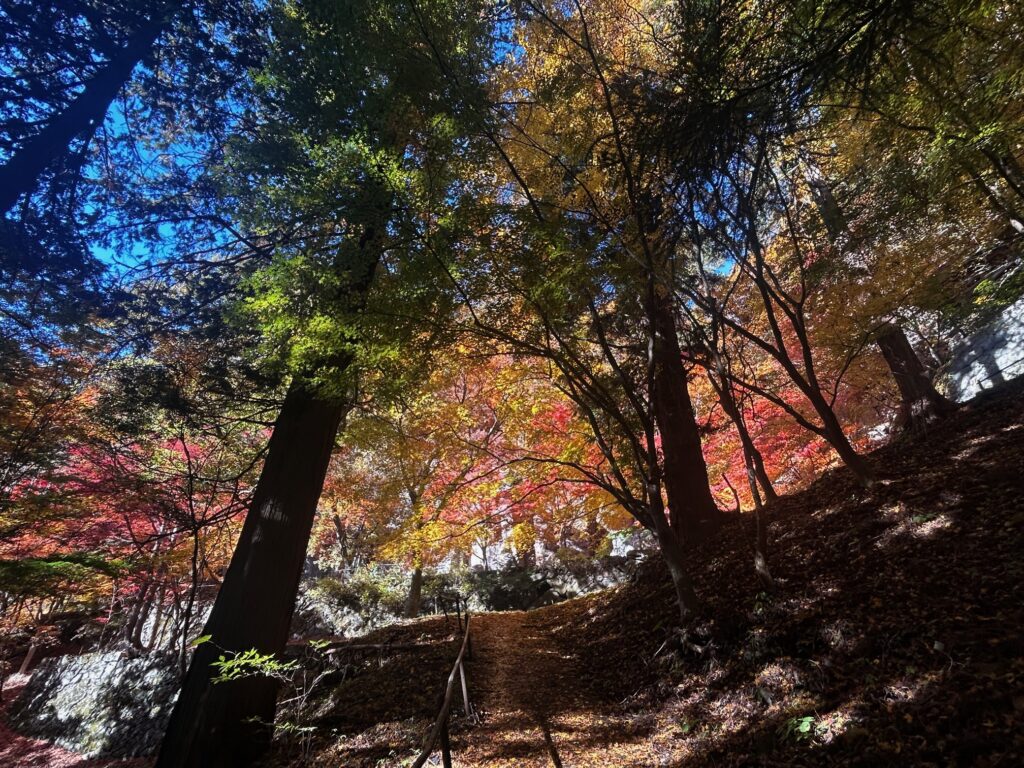 阿弥陀寺 諏訪市
紅葉の寺巡り