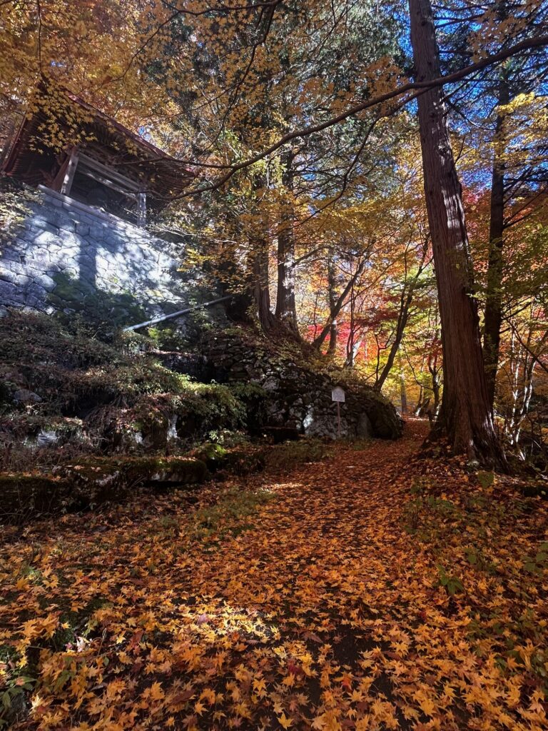 阿弥陀寺 諏訪市
紅葉の寺巡り