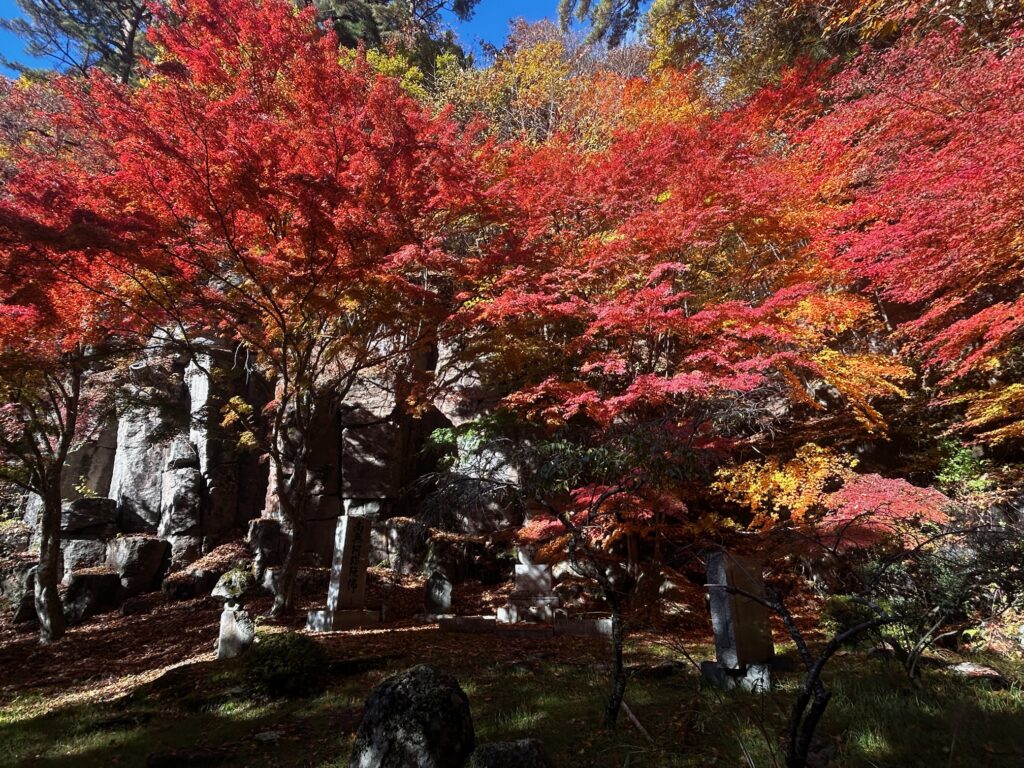 阿弥陀寺 諏訪市
紅葉の寺巡り