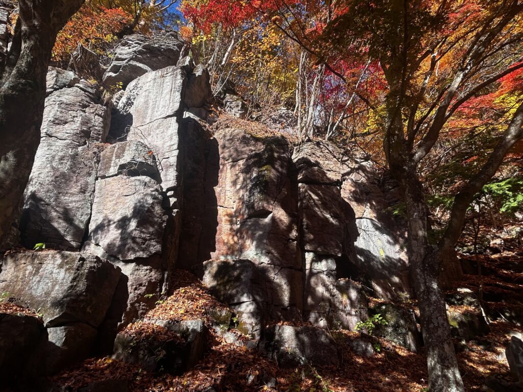 阿弥陀寺 諏訪市
紅葉の寺巡り
