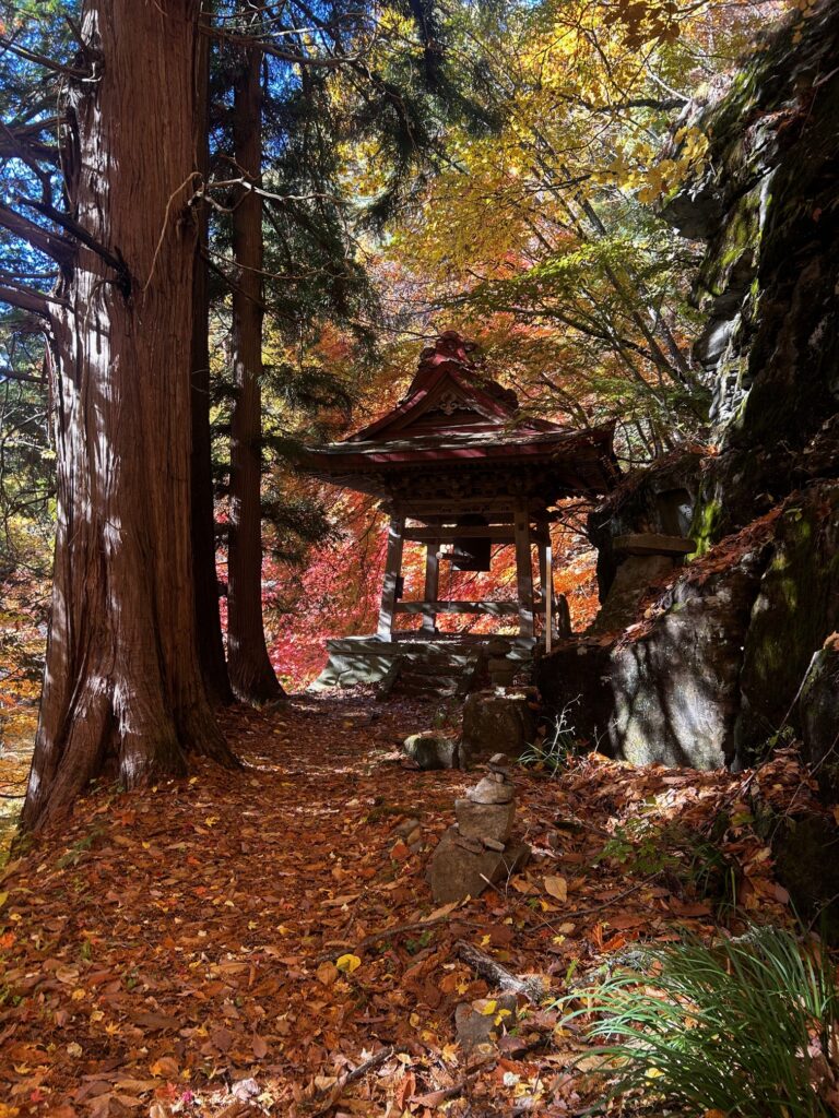 阿弥陀寺 諏訪市
紅葉の寺巡り