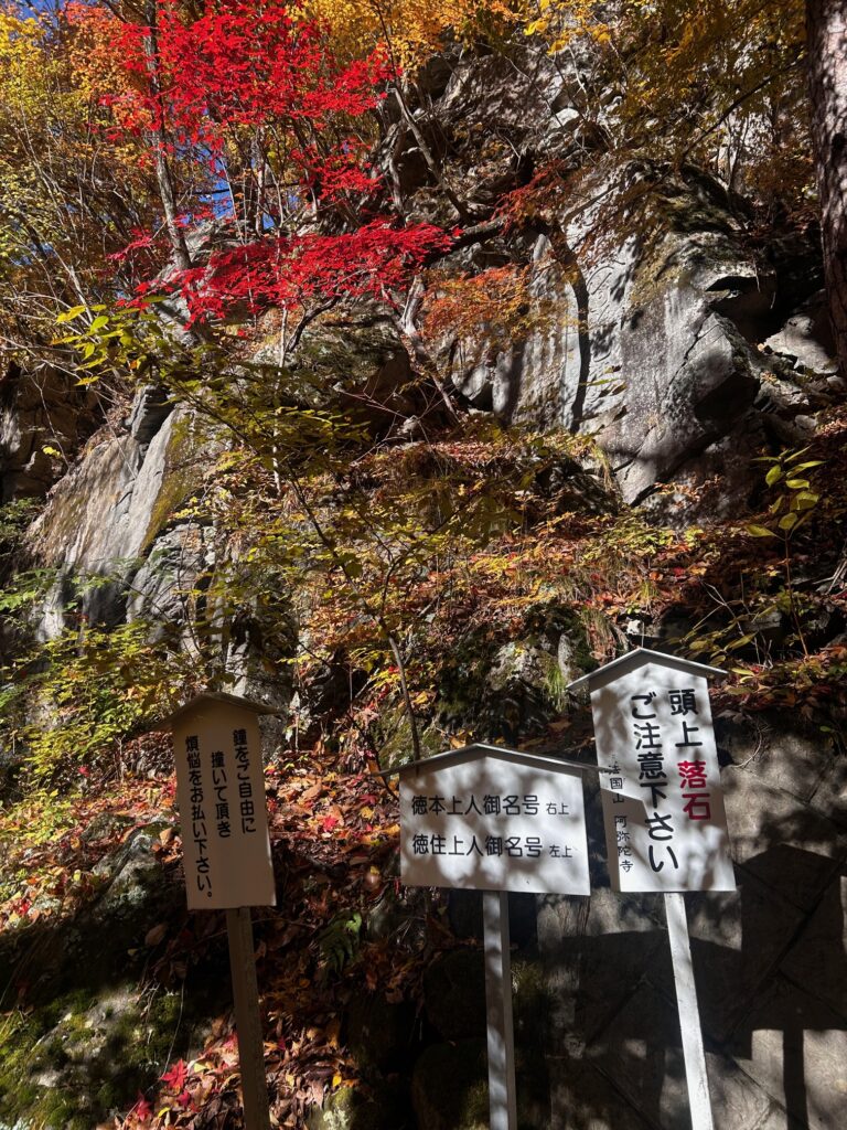 阿弥陀寺 諏訪市
紅葉の寺巡り