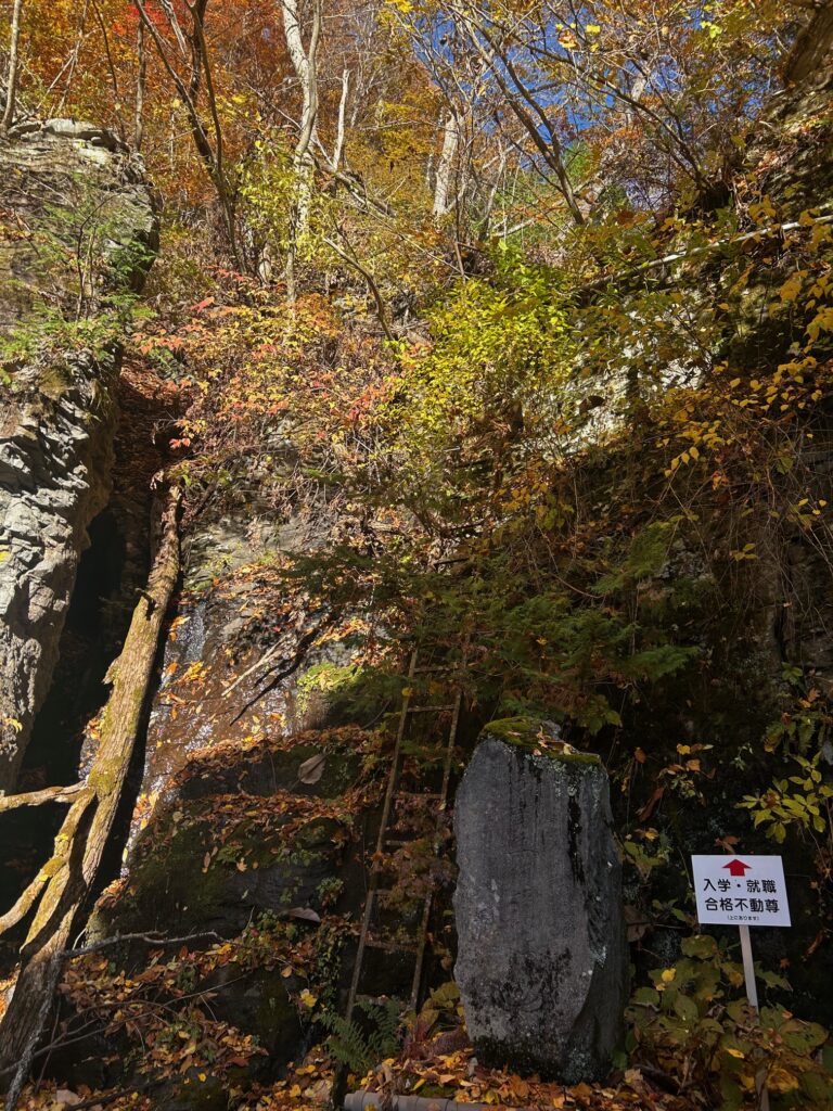 阿弥陀寺 諏訪市
紅葉の寺巡り