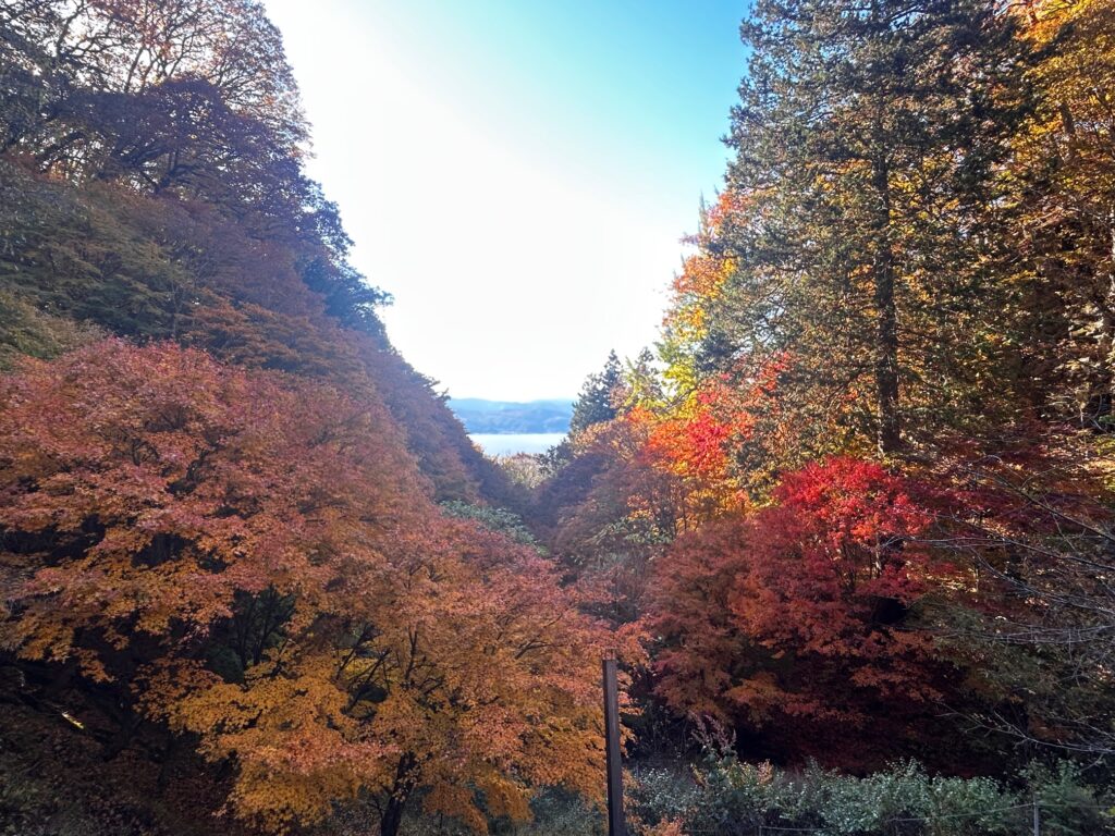 阿弥陀寺 諏訪市
紅葉の寺巡り