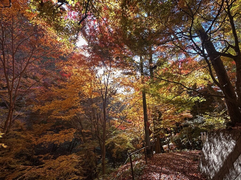 阿弥陀寺 諏訪市
紅葉の寺巡り