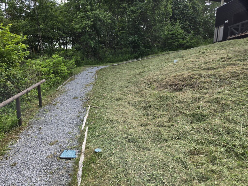 別荘地
草刈