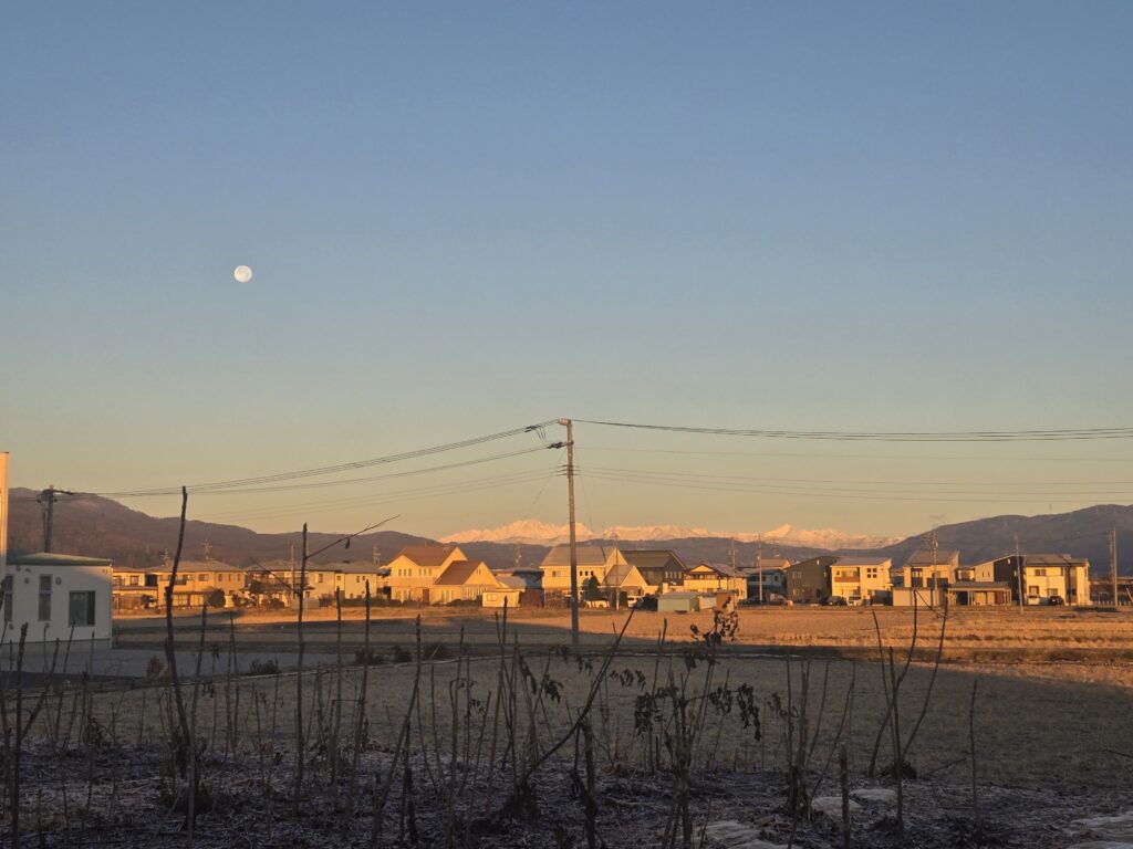 信州諏訪霧ヶ峰高原別荘地 霧ヶ峰 ビバルデの丘 長野県諏訪市 ビーナスライン 別荘 山 森 森林 自然 富士山 八ヶ岳 南アルプス 中央アルプス 眺望 植物 山野草 草花 雪 月 満月 コールドムーン 空 星座 冬の星座 冬 ふたご座 オリオン座 ふたご座流星群 観察 冬の大三角