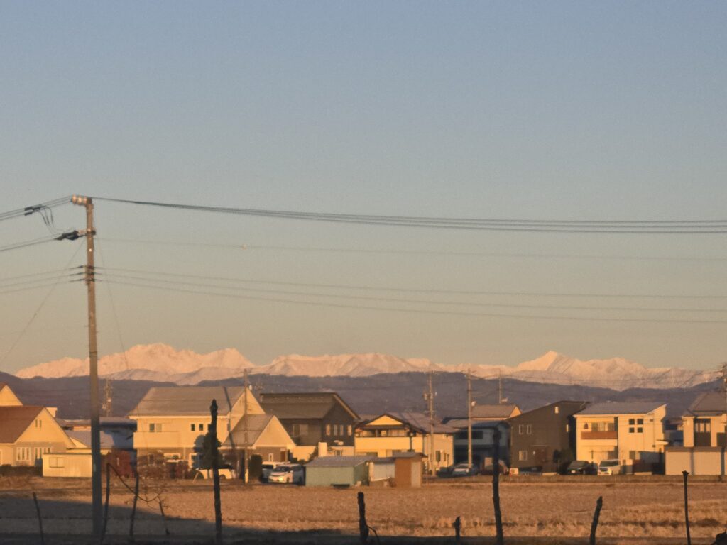 信州諏訪霧ヶ峰高原別荘地 霧ヶ峰 ビバルデの丘 長野県諏訪市 ビーナスライン 別荘 山 森 森林 自然 富士山 八ヶ岳 南アルプス 中央アルプス 眺望 植物 山野草 草花 雪 月 満月 コールドムーン 空 星座 冬の星座 冬 ふたご座 オリオン座 ふたご座流星群 観察 冬の大三角