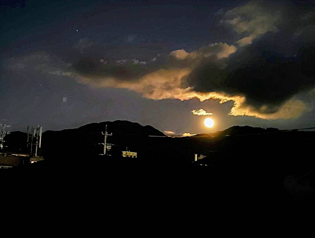 信州諏訪霧ヶ峰高原別荘地 霧ヶ峰 ビバルデの丘 長野県諏訪市 ビーナスライン 別荘 山 森 森林 自然 富士山 八ヶ岳 南アルプス 中央アルプス 眺望 植物 山野草 草花 雪 月 満月 コールドムーン 空 星座 冬の星座 冬 ふたご座 オリオン座 ふたご座流星群 観察 冬の大三角