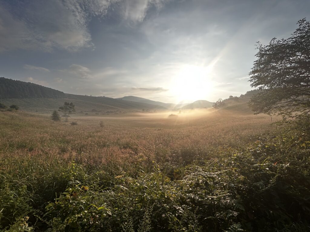 いけのくるみ
霧ヶ峰