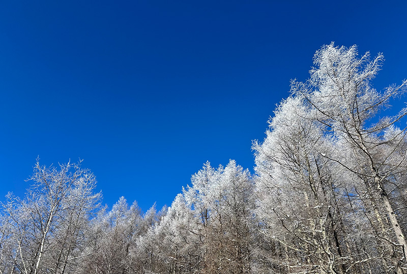 八ヶ岳・富士山の見える別荘地「ビバルデの丘」