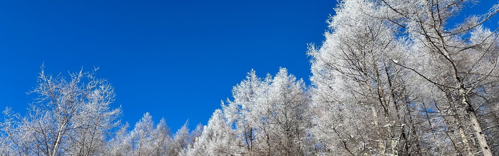 八ヶ岳・富士山の見える別荘地「ビバルデの丘」