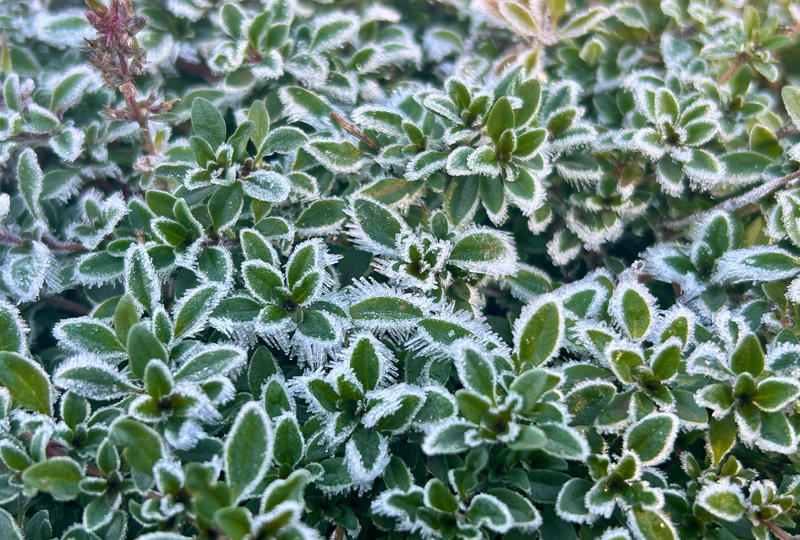 八ヶ岳・富士山の見える別荘地「ビバルデの丘」