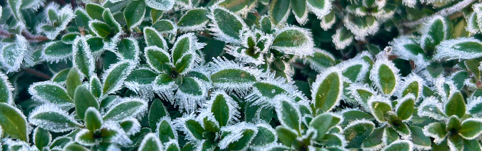 八ヶ岳・富士山の見える別荘地「ビバルデの丘」