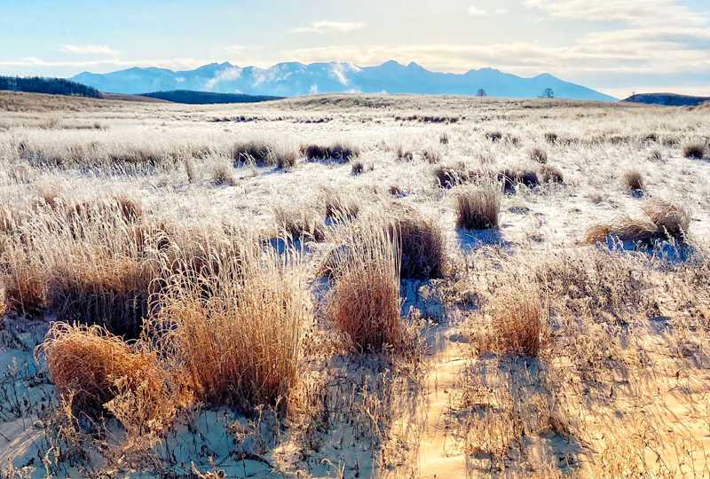 八ヶ岳・富士山の見える別荘地「ビバルデの丘」